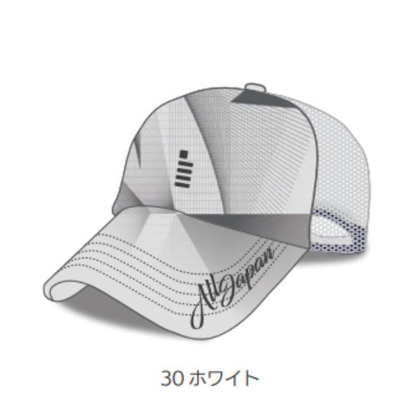 ゴーセン 2025年オールジャパン限定キャップ(C25A06)2510