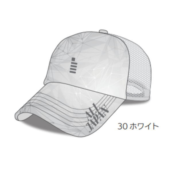 ゴーセン 2026年オールジャパン限定キャップ(C26A01)2603