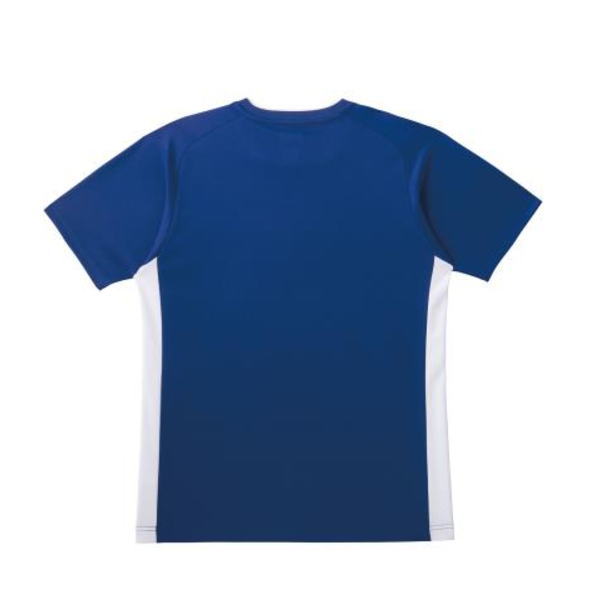 Back view of a blue athletic T-shirt with white side panels],1.